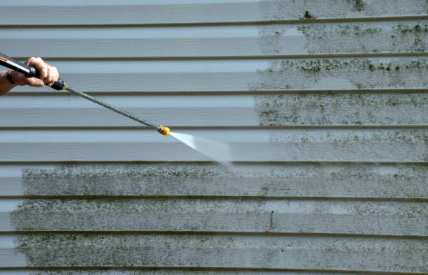 Best Warehouse Cleaning  in Martsville, IN