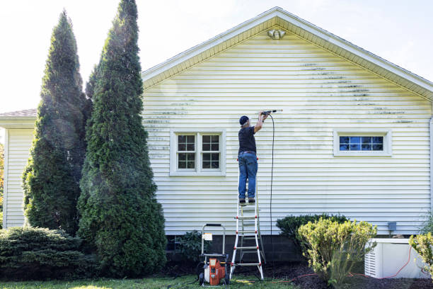 Best Gutter Cleaning  in Martsville, IN